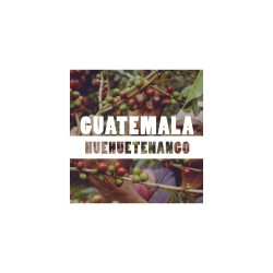 Coffeespot Guatemala Huehuetenango