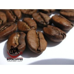 BotaCoffee Brazil Santos 17/18 from Guaxupe